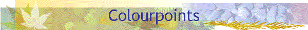 Colourpoints