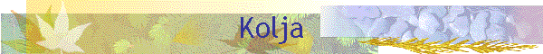 Kolja