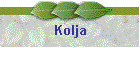 Kolja