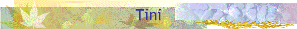 Tini